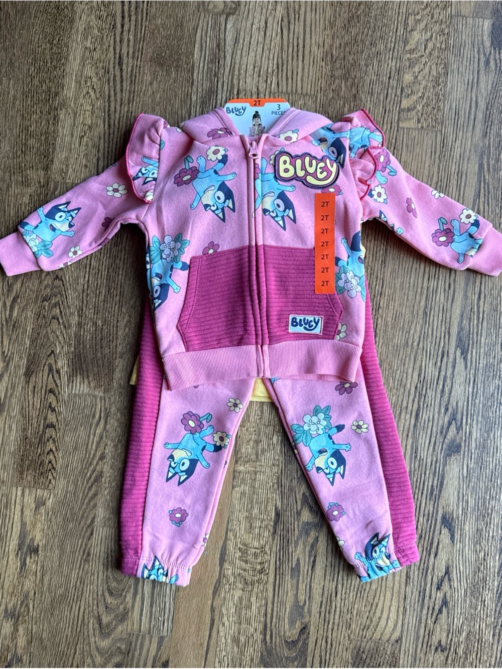 Bluey Pink Toddler Hoodie & Pants Set - 2T